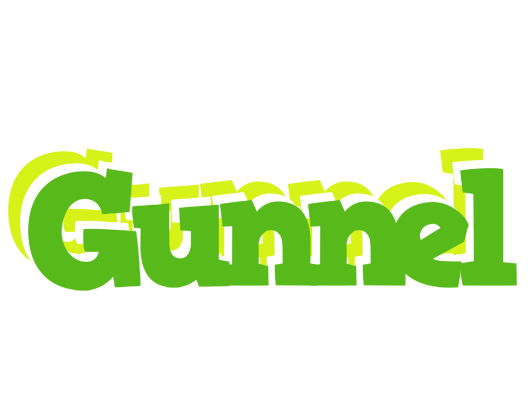 Gunnel picnic logo