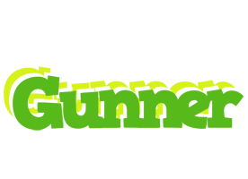 Gunner picnic logo