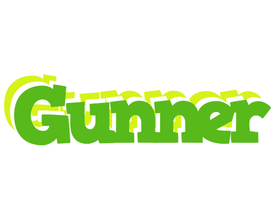 Gunner picnic logo