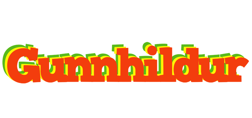Gunnhildur bbq logo