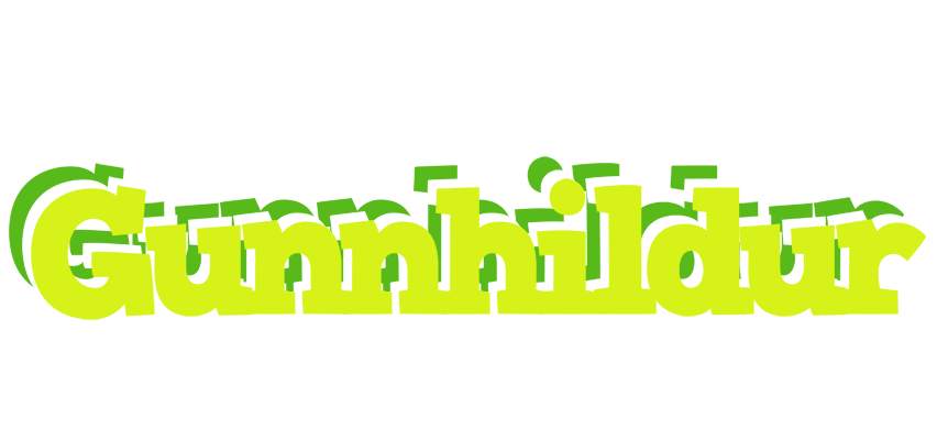 Gunnhildur citrus logo