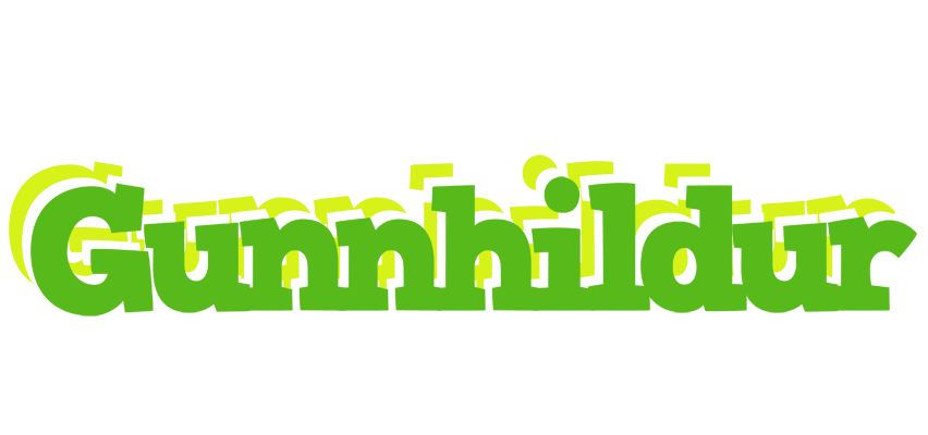 Gunnhildur picnic logo