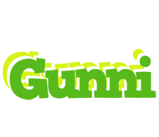 Gunni picnic logo