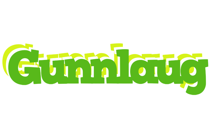 Gunnlaug picnic logo