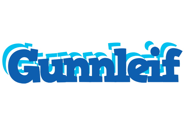 Gunnleif business logo