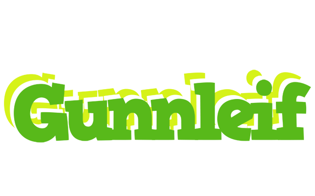 Gunnleif picnic logo