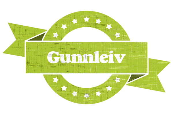 Gunnleiv change logo
