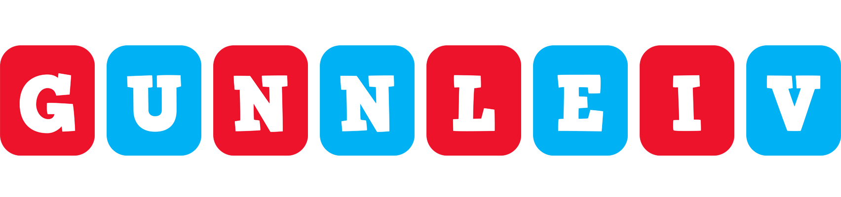 Gunnleiv diesel logo