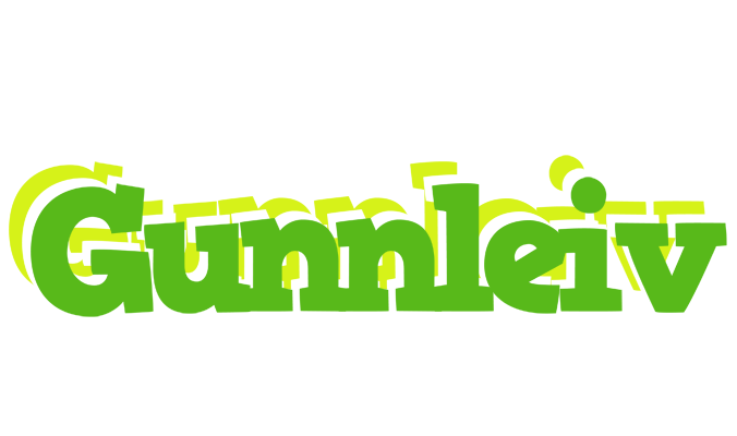 Gunnleiv picnic logo