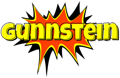 Gunnstein bazinga logo