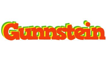 Gunnstein bbq logo