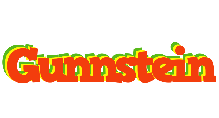 Gunnstein bbq logo