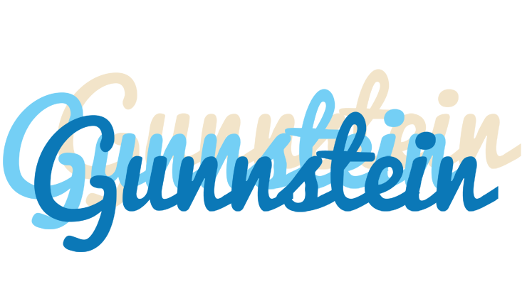 Gunnstein breeze logo