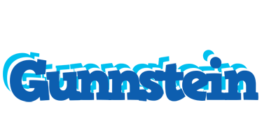 Gunnstein business logo