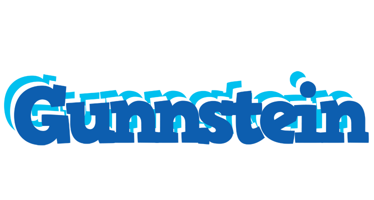 Gunnstein business logo