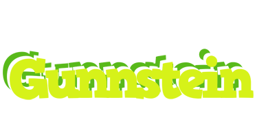 Gunnstein citrus logo