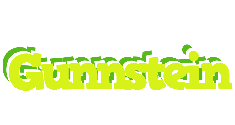 Gunnstein citrus logo