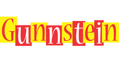 Gunnstein errors logo