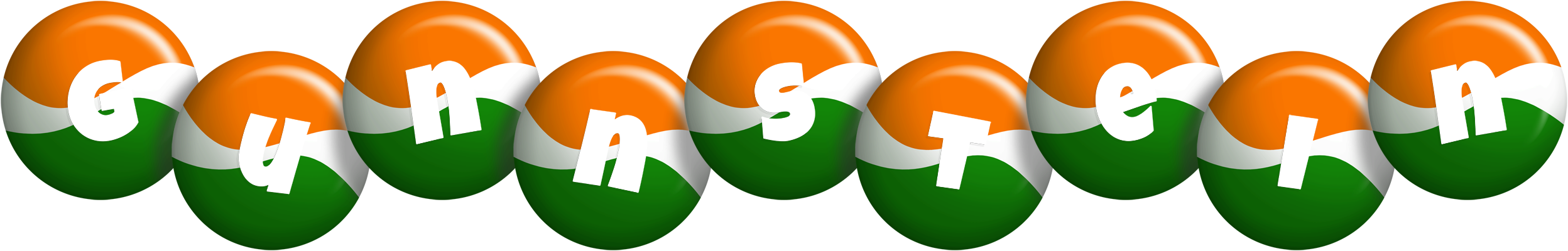 Gunnstein india logo