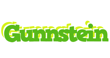 Gunnstein picnic logo