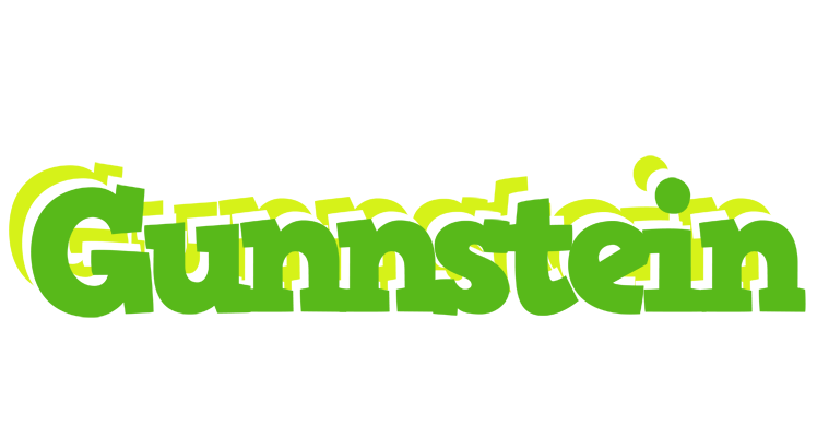 Gunnstein picnic logo