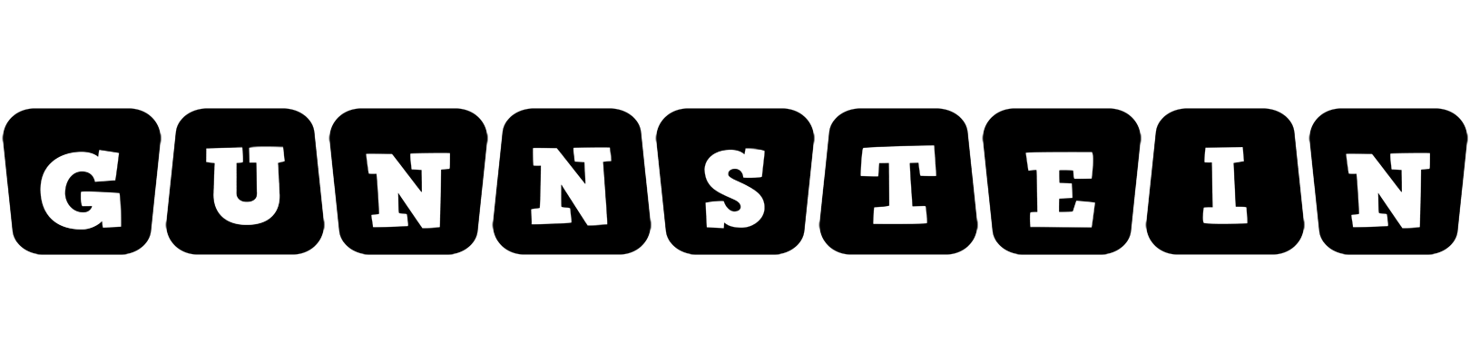Gunnstein racing logo