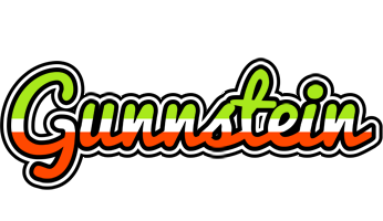 Gunnstein superfun logo