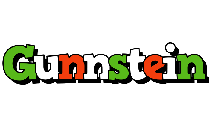 Gunnstein venezia logo