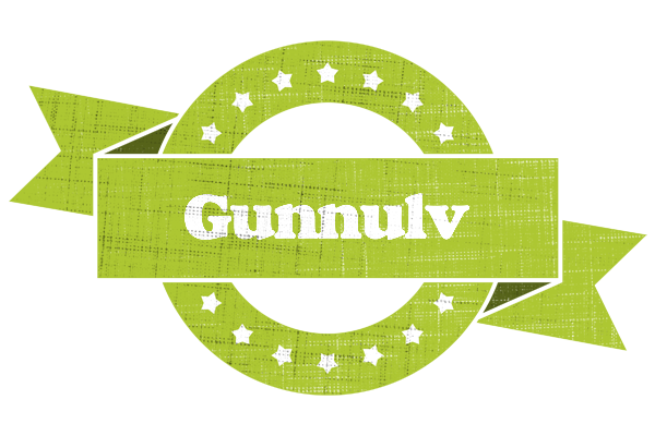 Gunnulv change logo