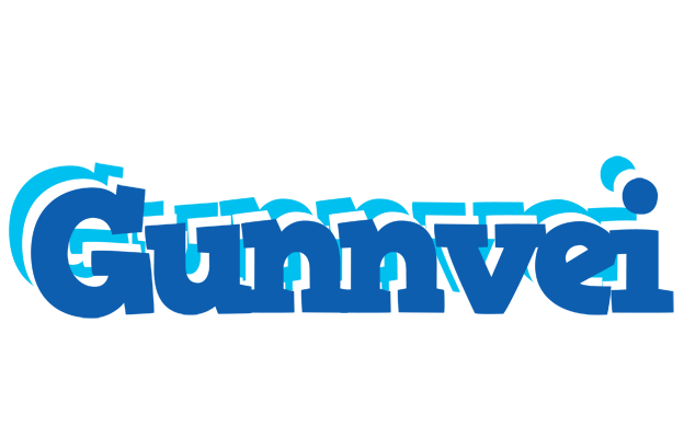 Gunnvei business logo