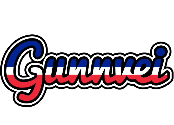 Gunnvei france logo