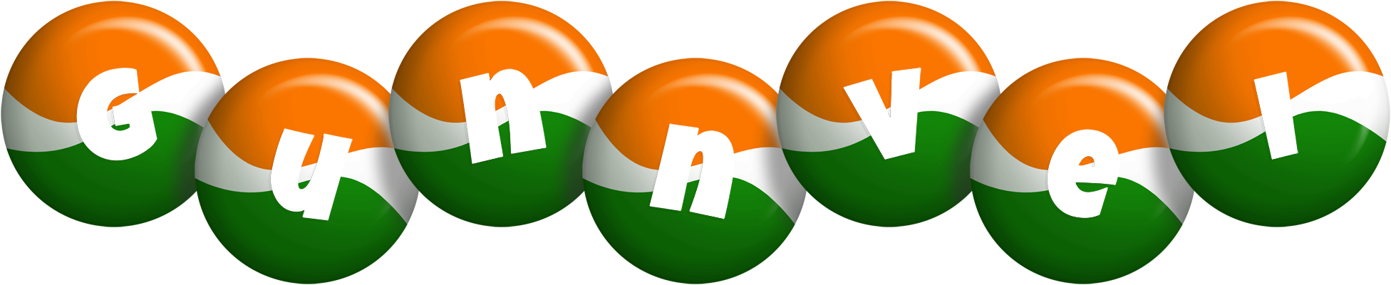 Gunnvei india logo
