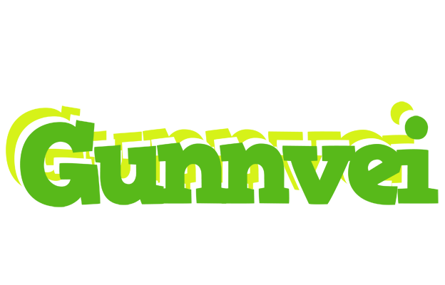 Gunnvei picnic logo