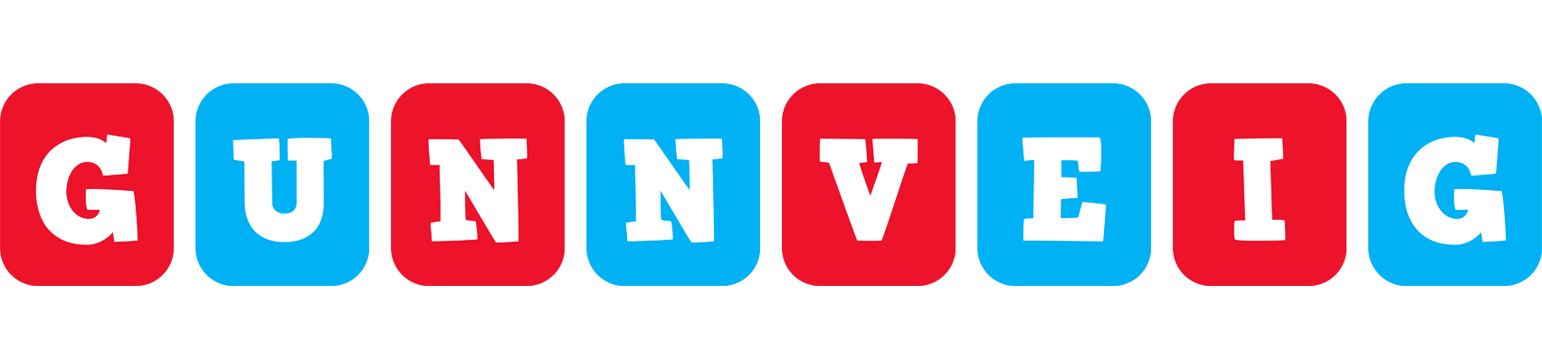 Gunnveig diesel logo