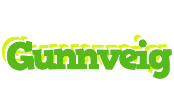 Gunnveig picnic logo