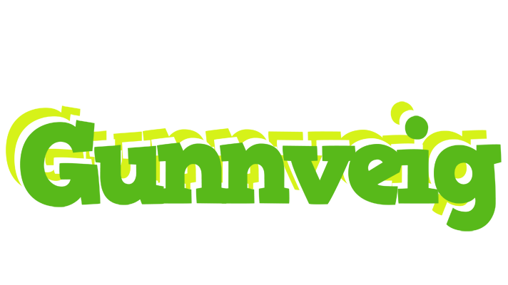 Gunnveig picnic logo