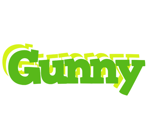 Gunny picnic logo