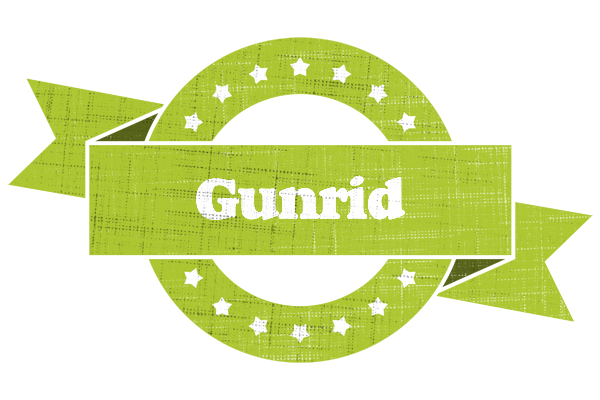 Gunrid change logo
