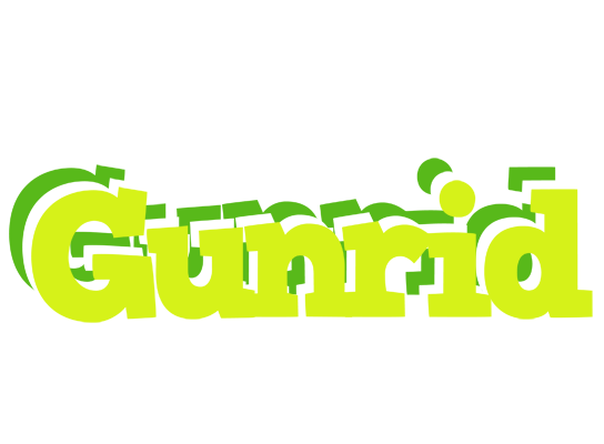 Gunrid citrus logo
