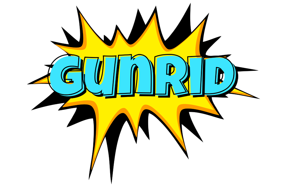 Gunrid indycar logo