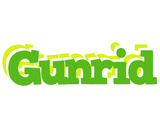 Gunrid picnic logo