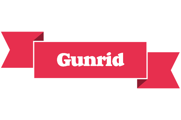 Gunrid sale logo