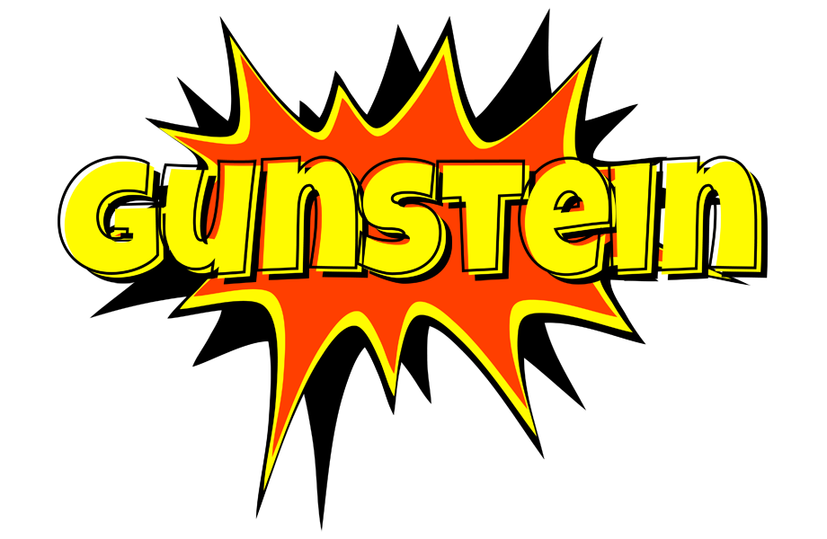 Gunstein bazinga logo