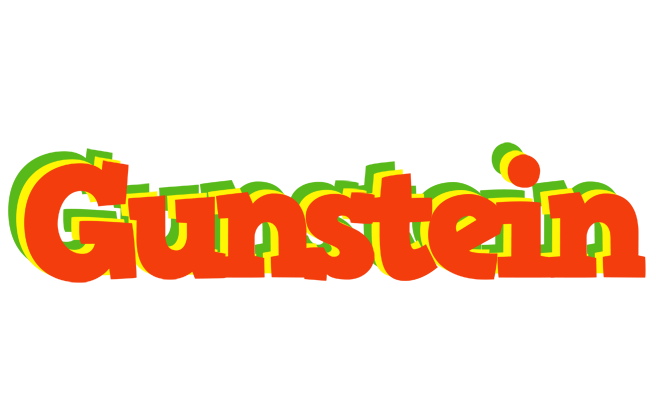 Gunstein bbq logo
