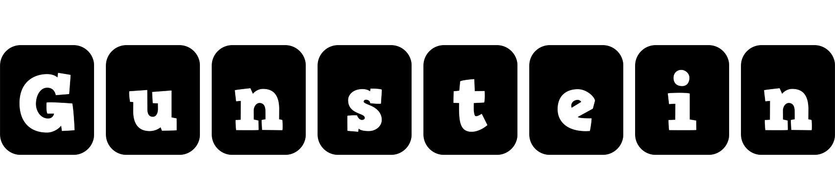 Gunstein box logo
