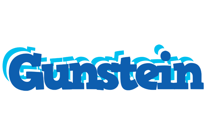 Gunstein business logo