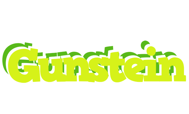 Gunstein citrus logo