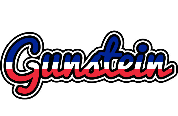 Gunstein france logo