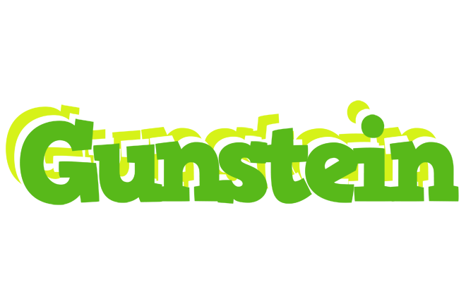 Gunstein picnic logo