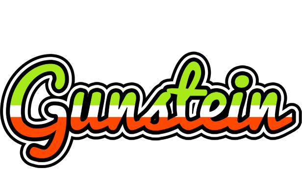 Gunstein superfun logo